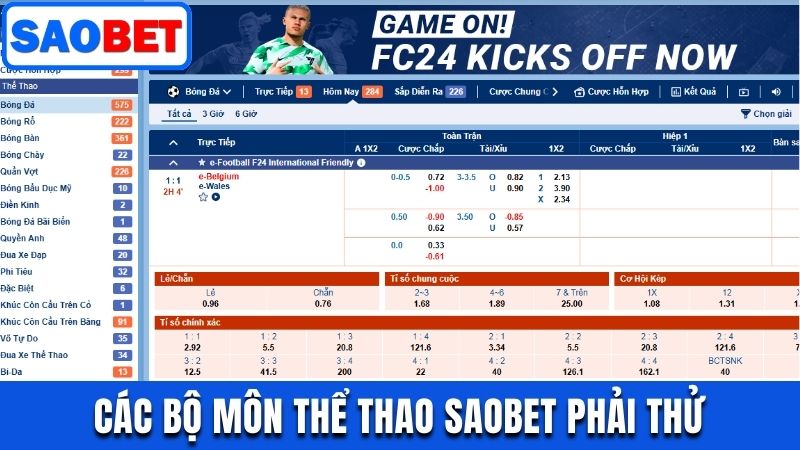 THỂ THAO SAOBET - QUY TỤ SẢN PHẨM ĐỈNH CAO CHO MỌI TÍN ĐỒ 14 BỘ MÔN THỂ THAO SAOBET PHẢI THỬ 2025