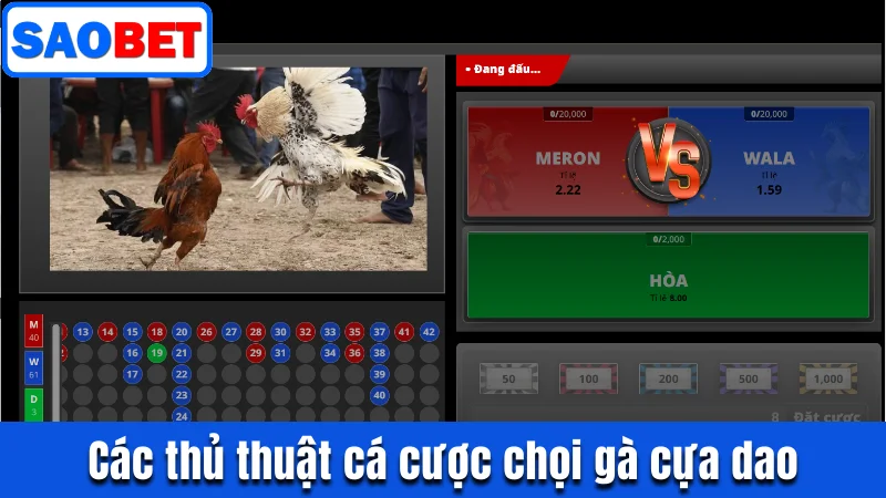 TRỰC TIẾP CHỌI GÀ CỰA DAO TẠI SAOBET GAY CẤN NHẤT 2025 10 CHIA SẺ CÁC THỦ THUẬT CÁ CƯỢC CHỌI GÀ CỰA DAO
