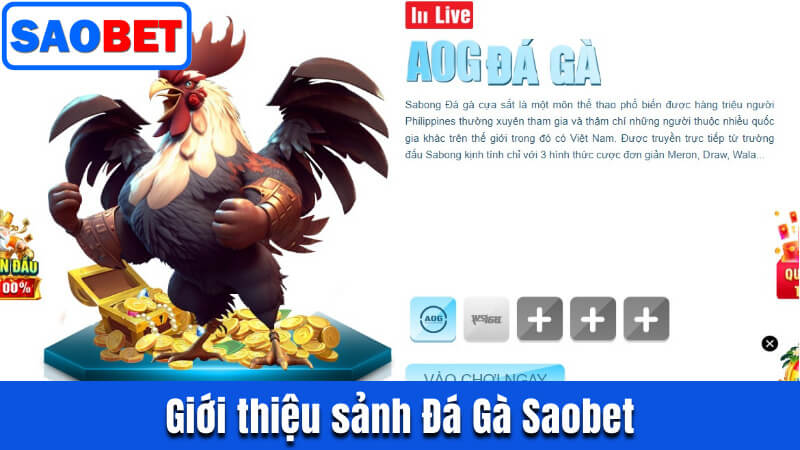 ĐÁ GÀ SAOBET - GIỚI THIỆU SẢNH CƯỢC, CÁC LOẠI HÌNH THI ĐẤU 12 GIỚI THIỆU ĐÔI NÉT VỀ ĐÁ GÀ SAOBET