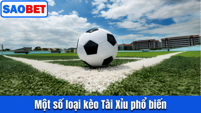 KÈO TÀI XỈU | HƯỚNG DẪN CÁCH ĐỌC KÝ HIỆU TRÊN BẢNG CƯỢC 8 MỘT SỐ THỂ LOẠI KÈO TÀI XỈU PHỔ BIẾN MÀ BẠN NÊN BIẾT