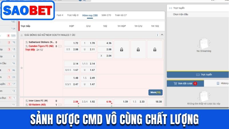 THỂ THAO SAOBET - QUY TỤ SẢN PHẨM ĐỈNH CAO CHO MỌI TÍN ĐỒ 13 DANH SÁCH CÁC SẢNH CHƠI ĐÌNH ĐÁM TẠI SAOBET