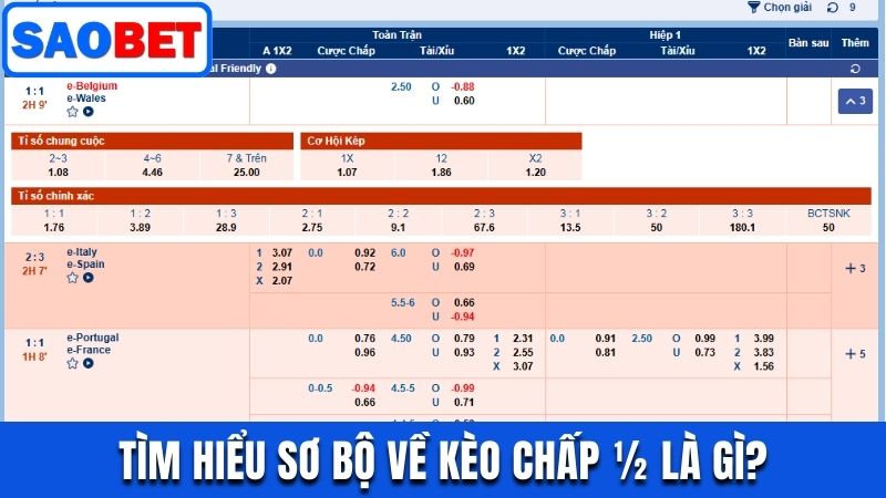 KÈO CHẤP ½ - HƯỚNG DẪN CÁCH ĐỌC VÀ MẸO ĐẶT CƯỢC HIỆU QUẢ 6 TÌM HIỂU SƠ BỘ VỀ CHẤP 0.5 LÀ GÌ?