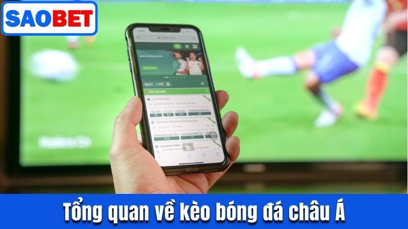 KÈO BÓNG ĐÁ CHÂU Á - TRẢI NGHIỆM CÁ CƯỢC TOP 1 SERVER 5 TỔNG QUAN VỀ KÈO BÓNG ĐÁ CHÂU Á