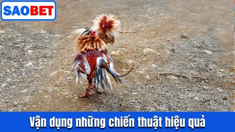 ĐÁ GÀ TRE SAOBET - TẬN HƯỞNG CUỘC ĐẤU NHẬN THƯỞNG GIÁ TRỊ 9 VẬN DỤNG NHỮNG CHIẾN THUẬT HIỆU QUẢ