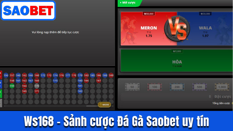 ĐÁ GÀ SAOBET - GIỚI THIỆU SẢNH CƯỢC, CÁC LOẠI HÌNH THI ĐẤU 13 WS168 - SẢNH CƯỢC ĐÁ GÀ SAOBET XANH CHÍN